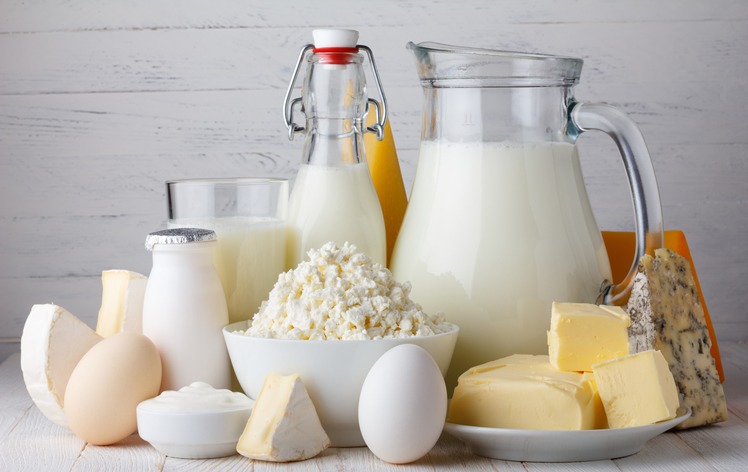industry-dairy-products